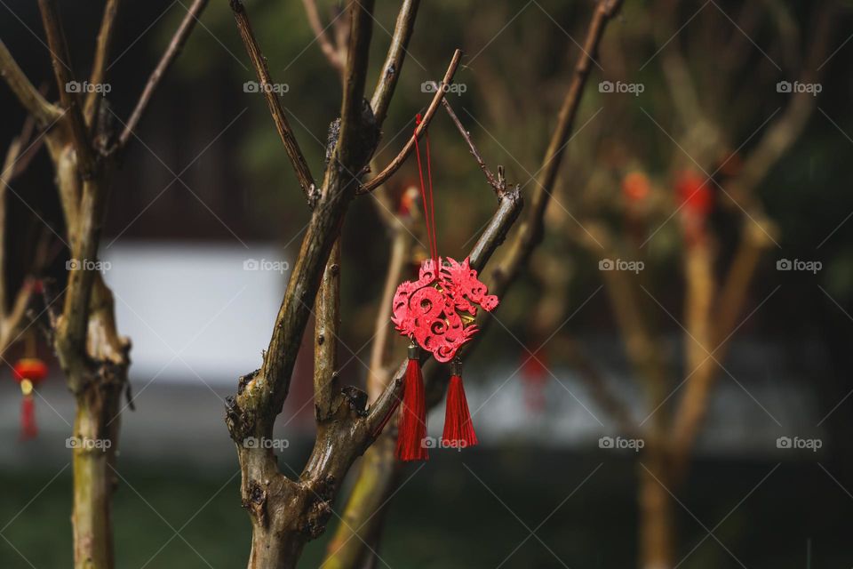 龙年吉祥