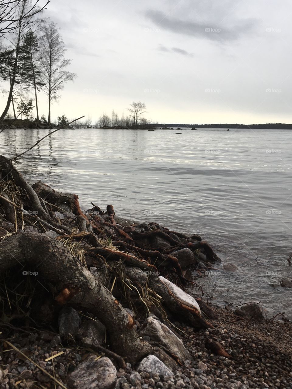 spring is on entry into warmland