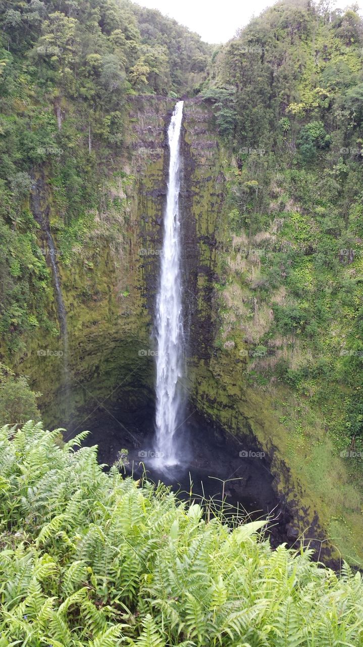 Akaka Falls