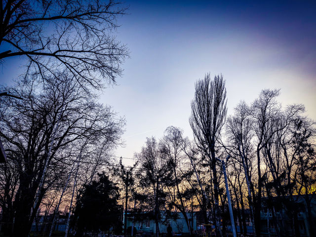 evening