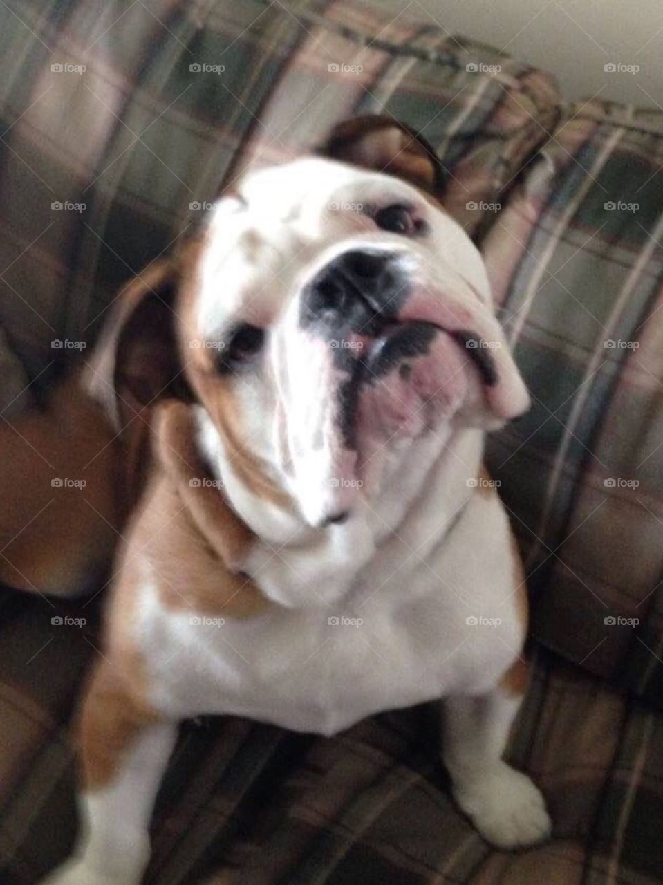 You mean no couch ? 😂