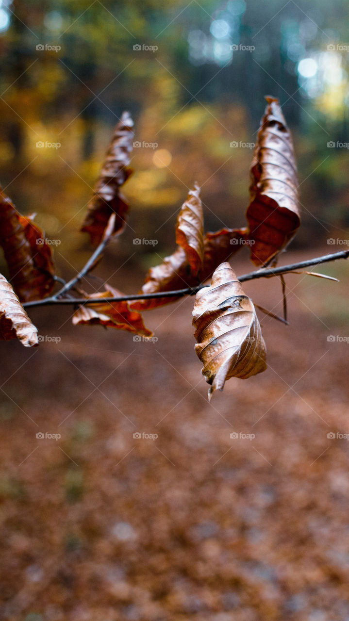 Naturel beauty place