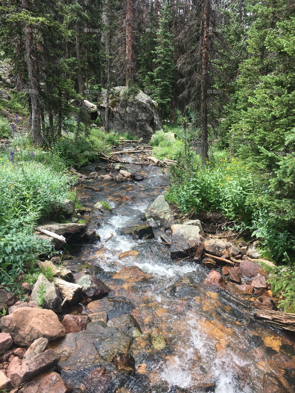 Uintah Mountains