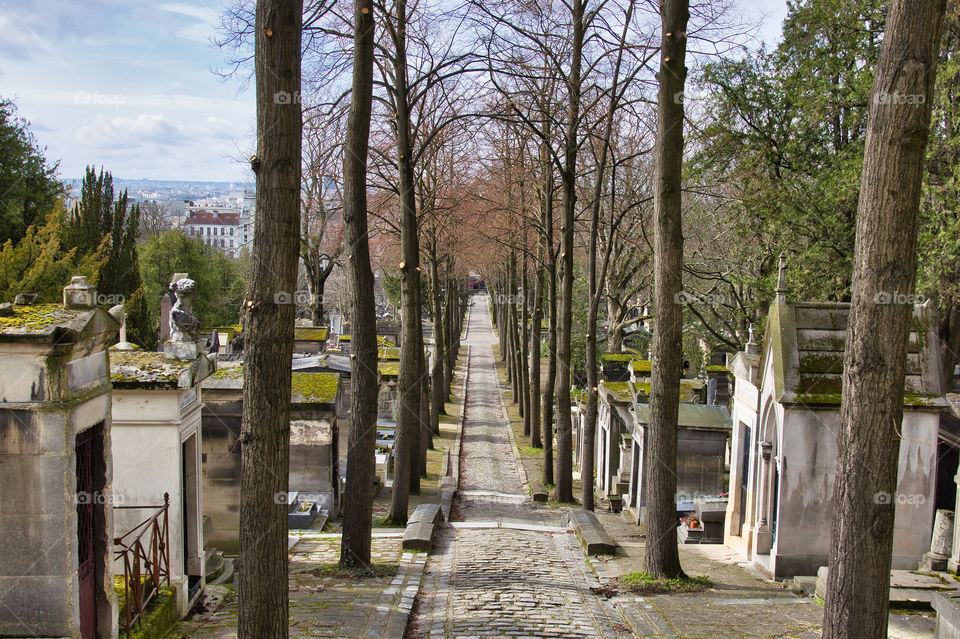 graves in a graveyard in paris