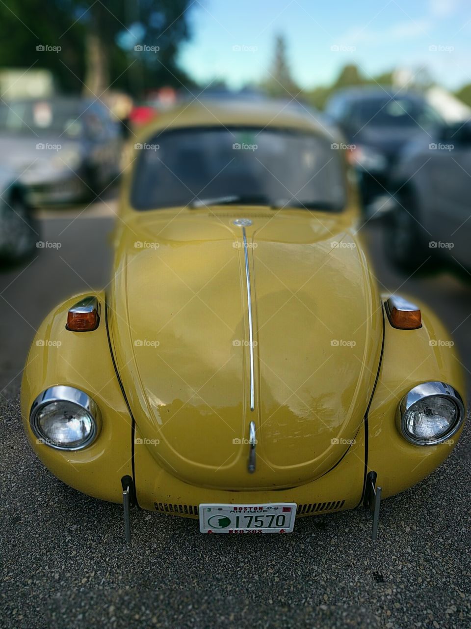 Yellow Bug