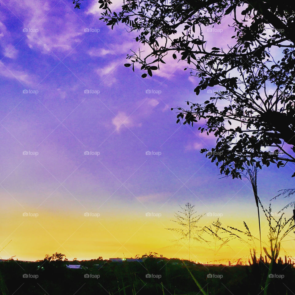 PURPLE COLOR - 🌄🇺🇸 An extremely beautiful dawn in Jundiaí, interior of Brazil. Cheer the nature! / 🇧🇷 Um amanhecer extremamente bonito em Jundiaí, Interior do Brasil. Viva a natureza!
