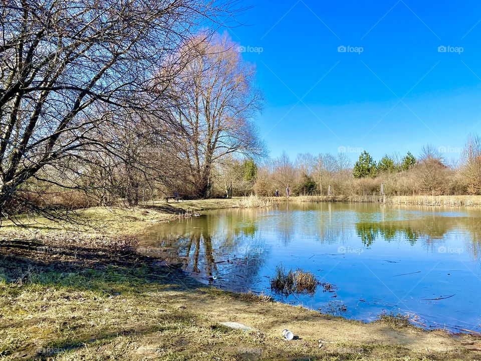 Spring is comming 🌿