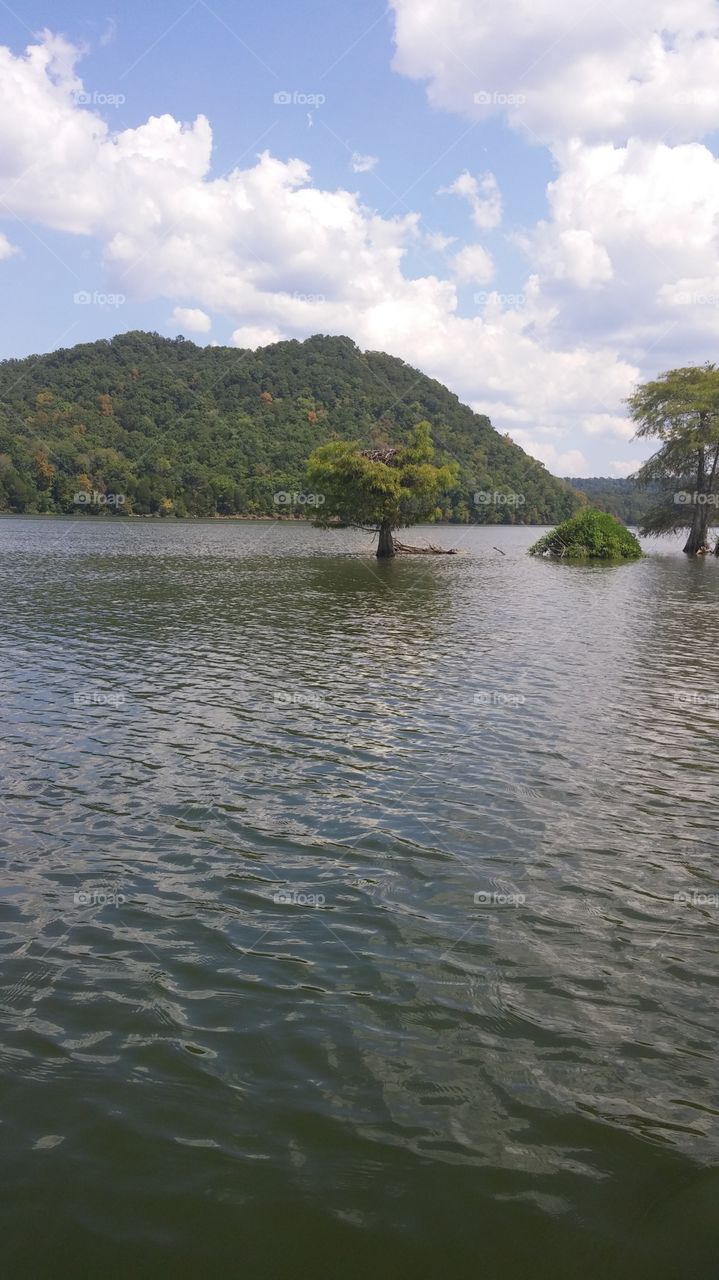 Watts Bar lake in Tennessee