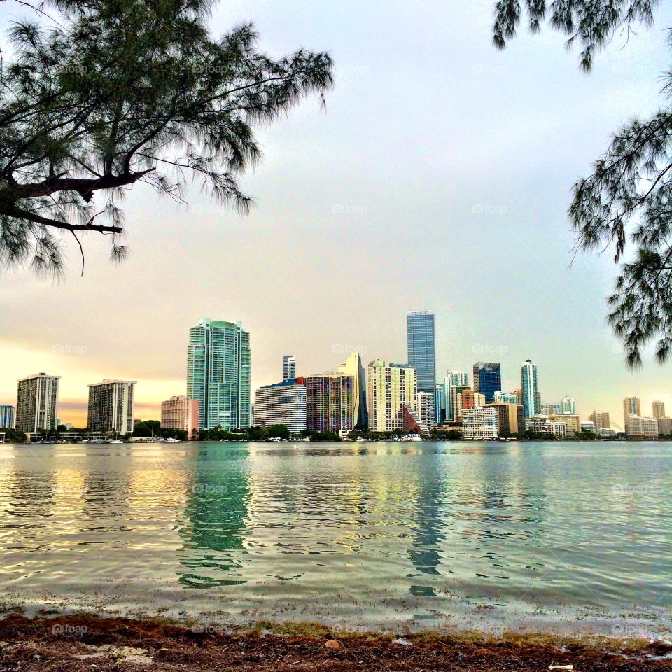 Miami skyline 