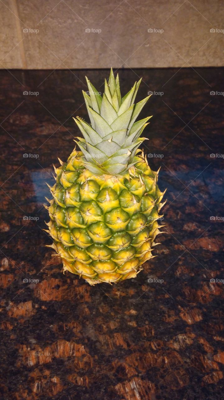 My baby pineapple