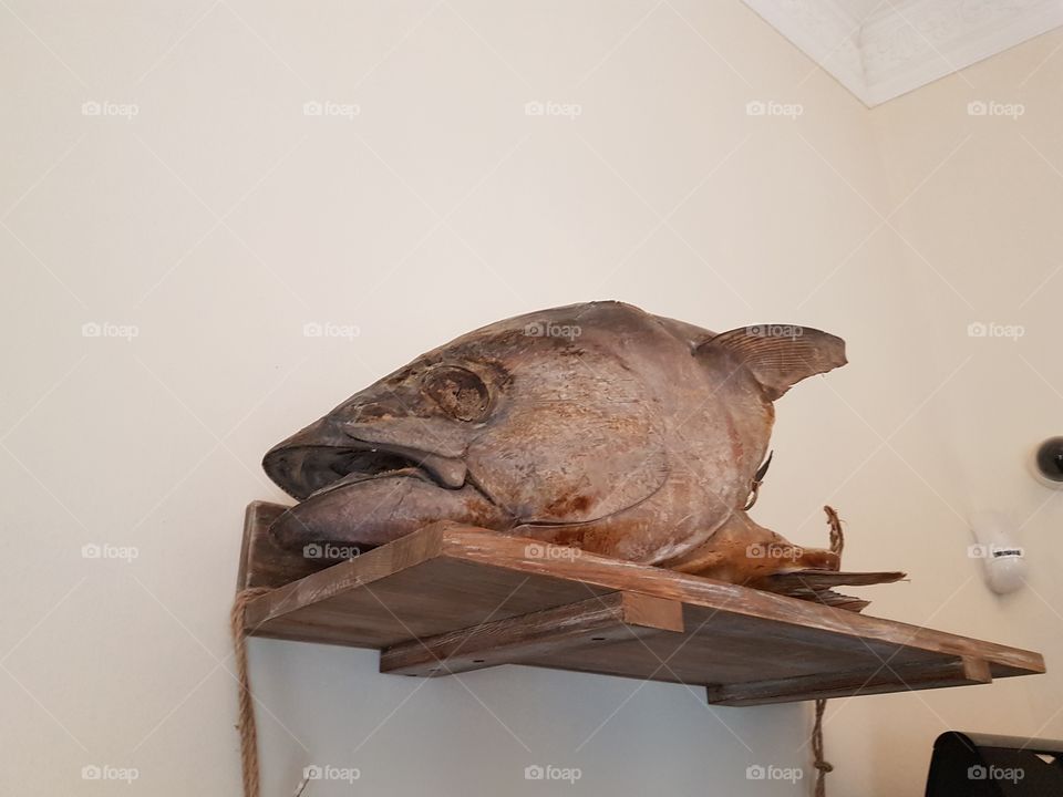 fish head