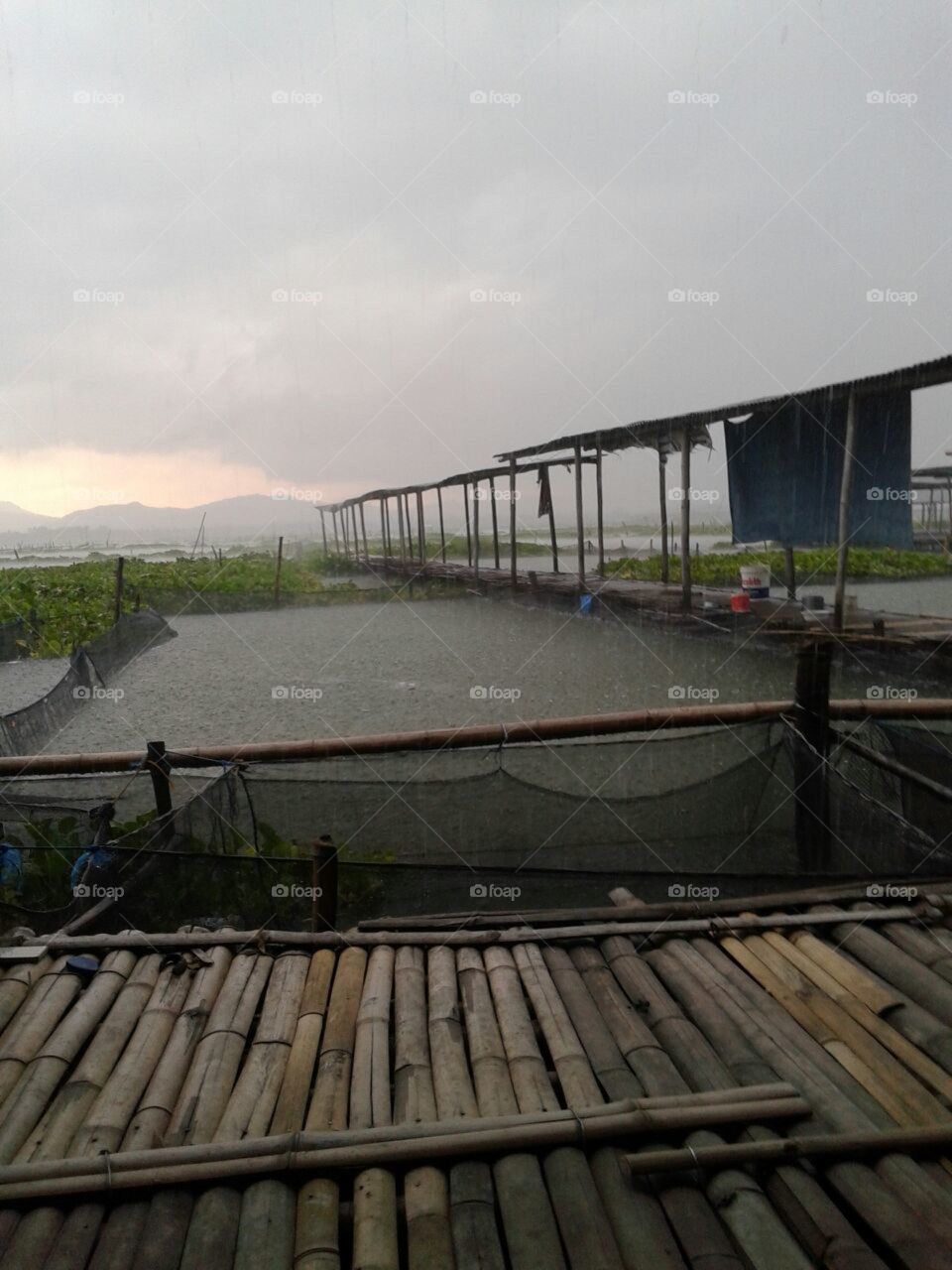 tempat pemancingan di rowo jombor