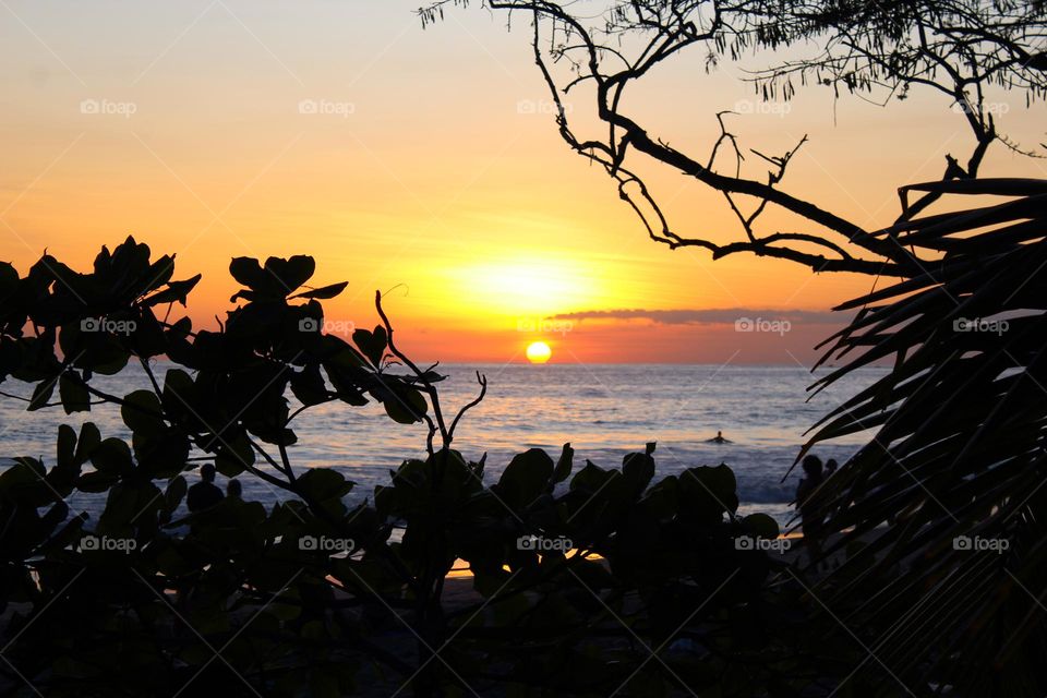 A view through the branches of a magical sunset on the Pacific ocean.  Summer in Costa Rica