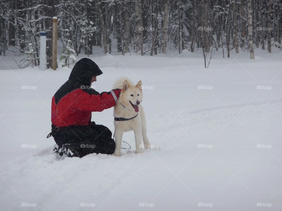 Take a rest - during the walk with Rose, the stubborn husky lady, who don't like being a sledge dog but a walking around dog