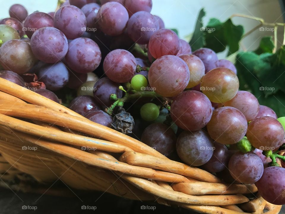 Homegrown purple grapes in woven basket