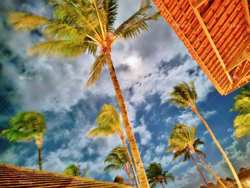 dusk shine ramadan faith month nasa water crater circle phase detail crescent galaxy glow vector glowing mystical natural calm romantic clouds eclipse celestial sunrise mountain orbit cloudscape evening star tranquil midnight landscape sphere beautif