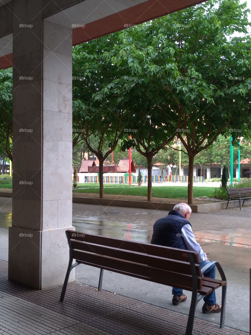 Un hombre mayor sentado de espaldas en un parque