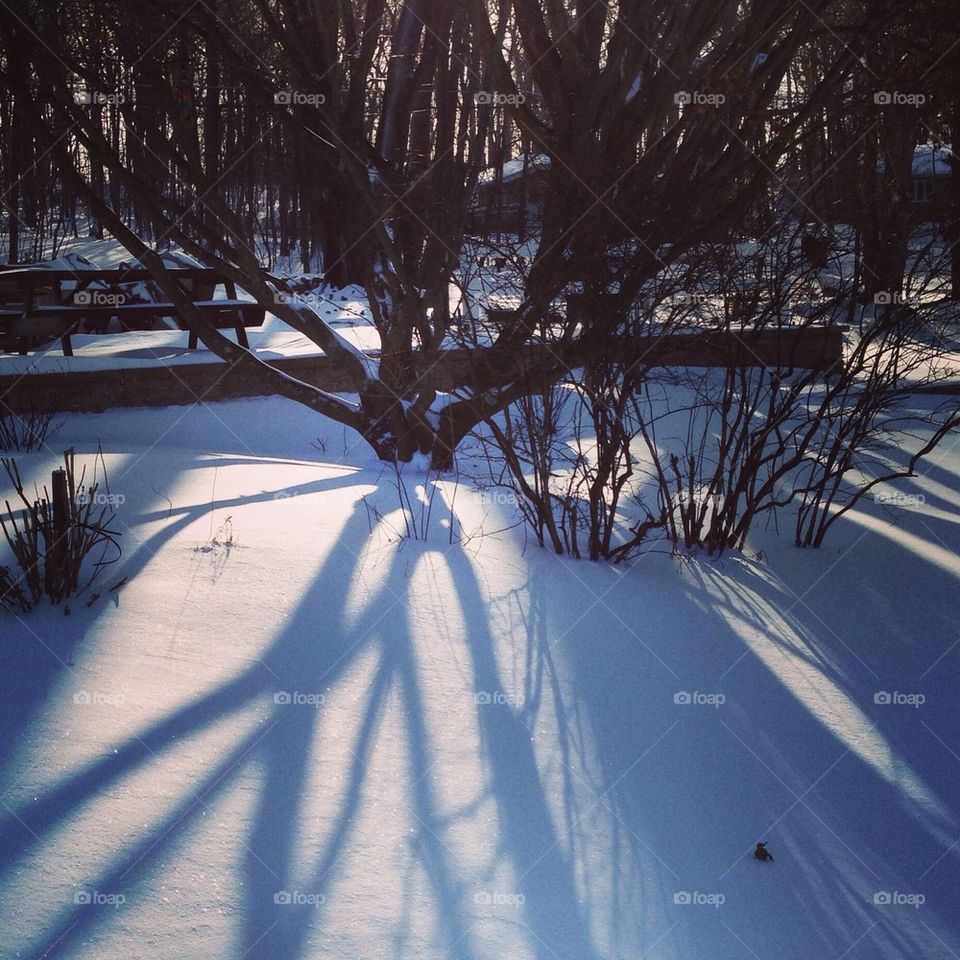 Winter shadow