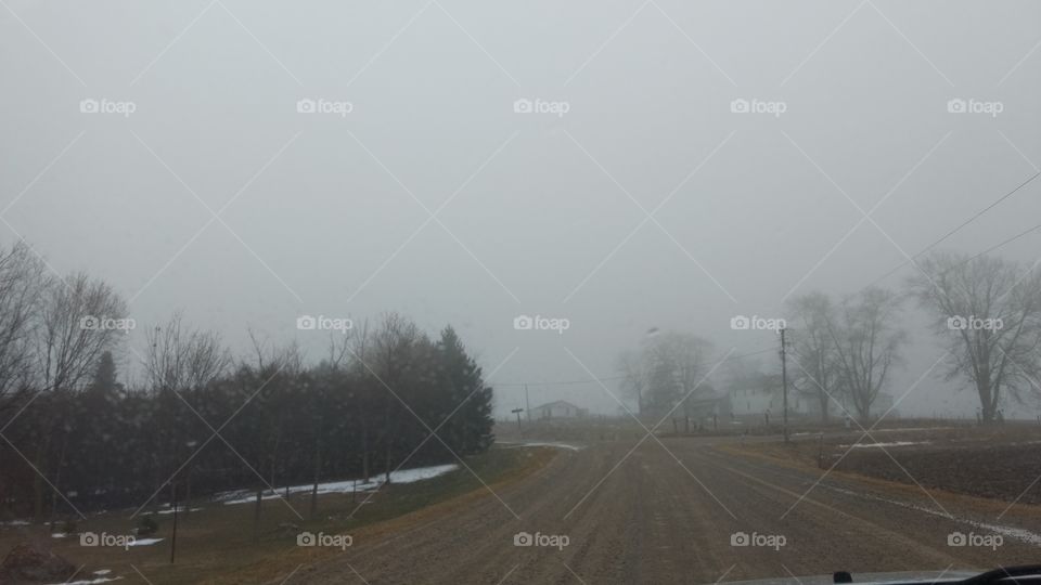 Fog, Road, Landscape, Tree, Mist