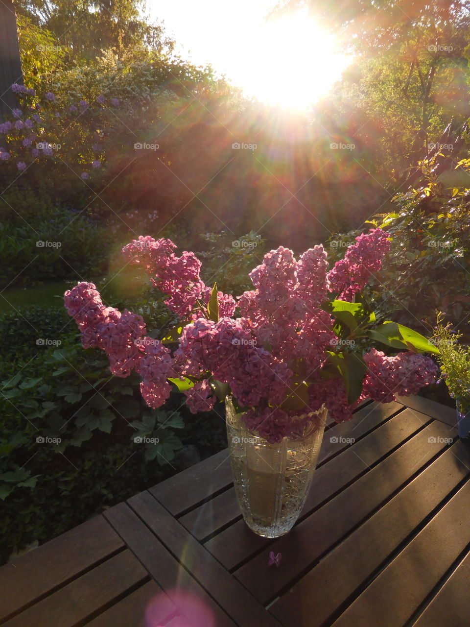 Sun's reflection on flower pot