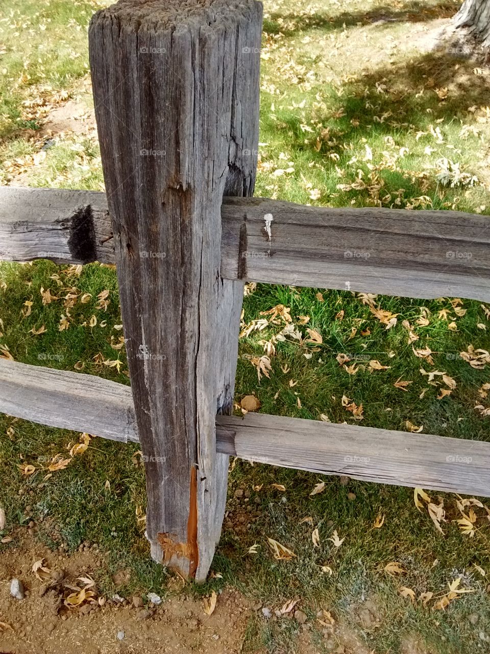 rustic fence