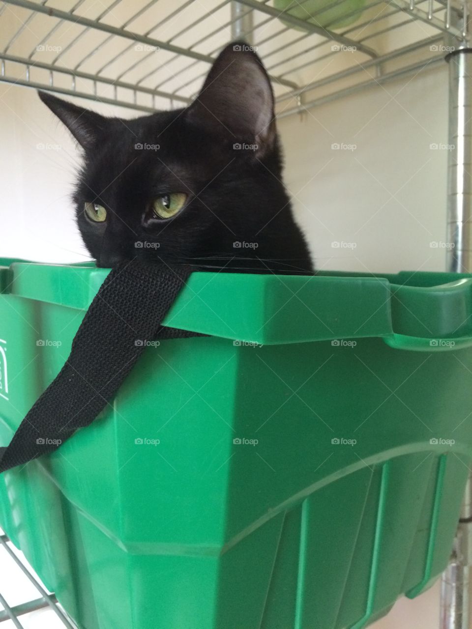 Thinking outside the box.