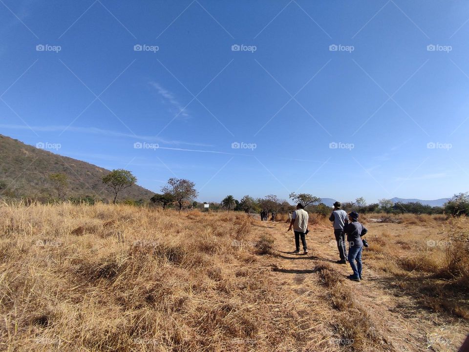 bird watching activity at Ralamandal sanctuary, located in India.