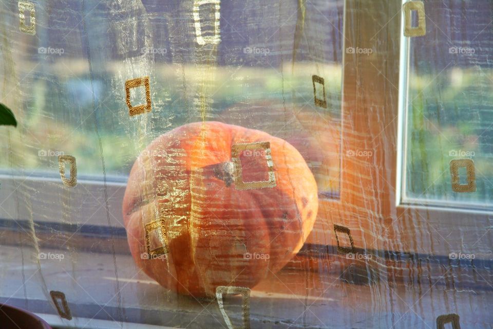 pumpkin lies on the windowsill