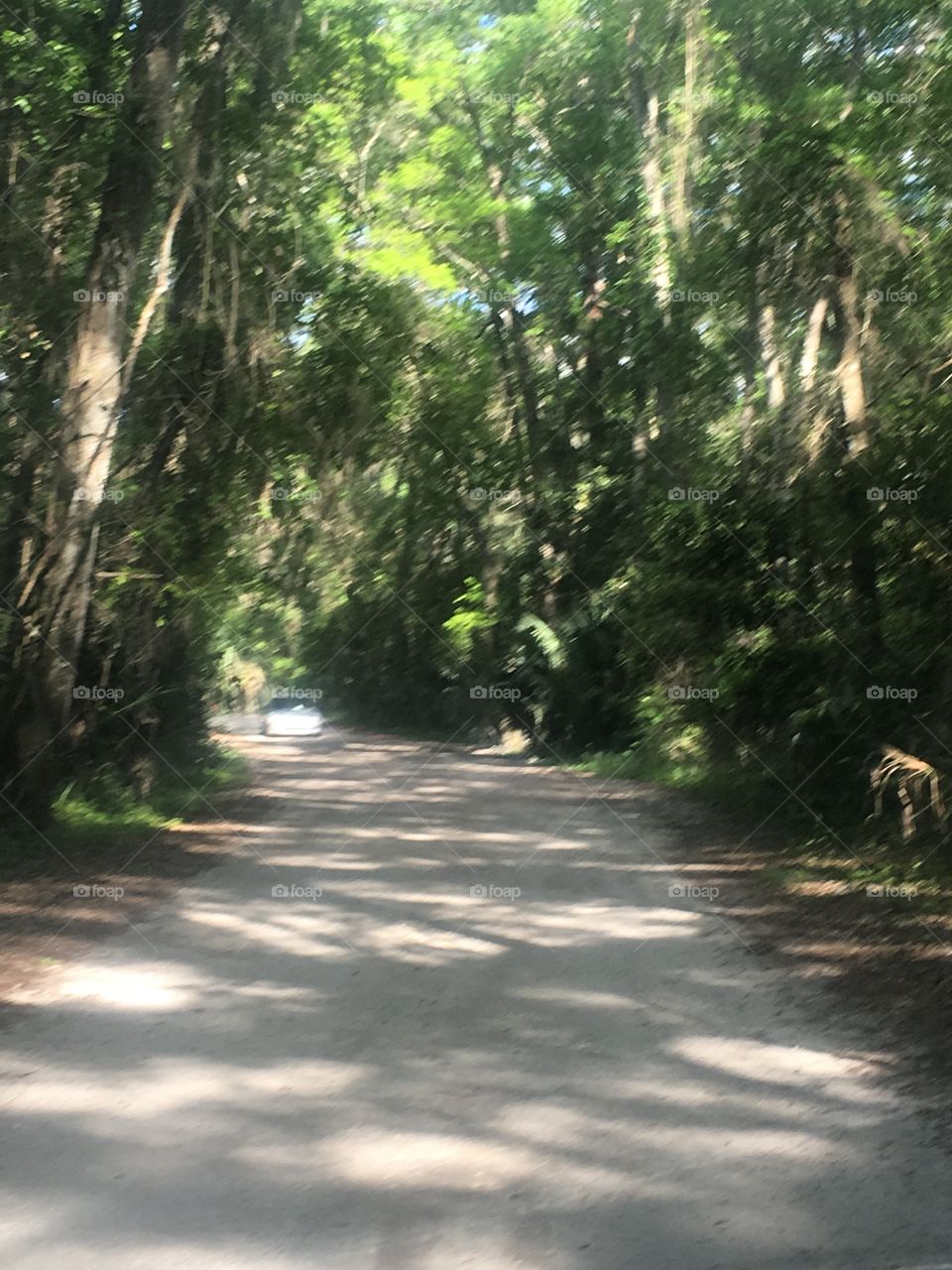 Dirt road 