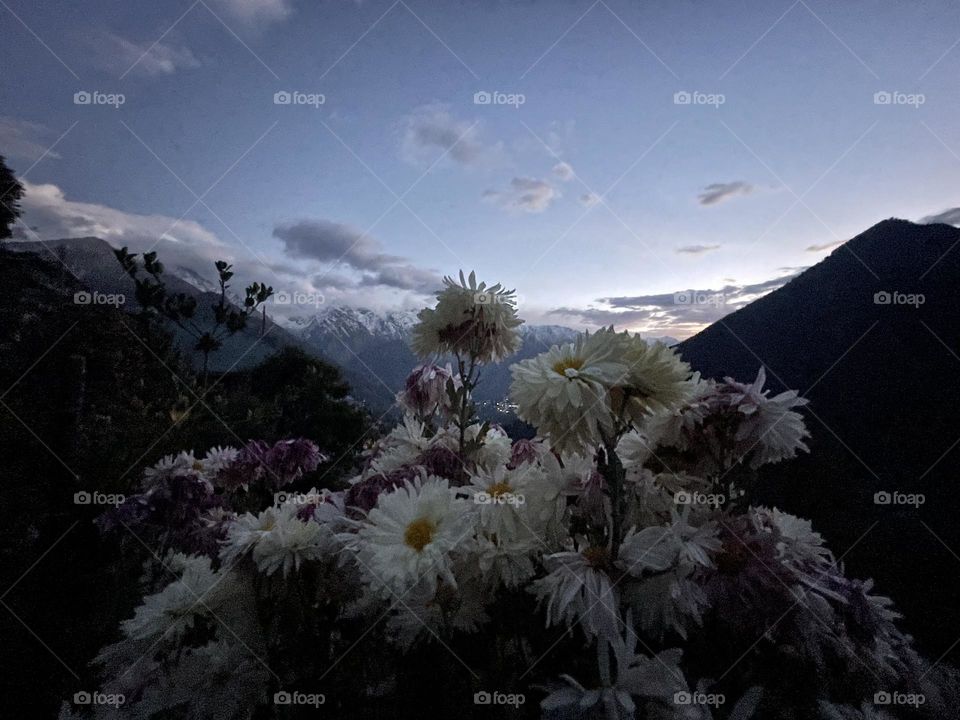 A beautiful evening as it should be 