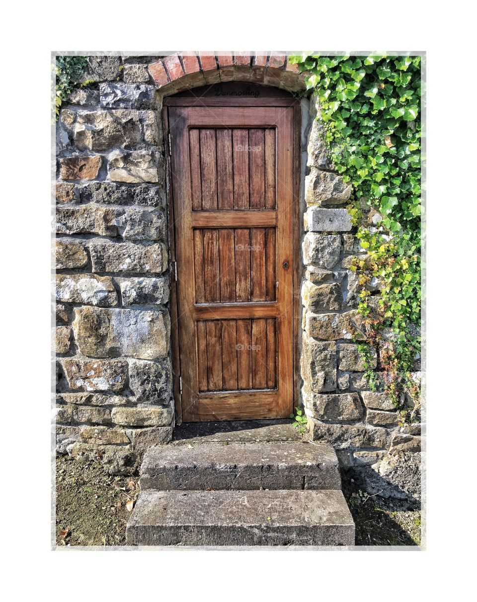 Wood door 1