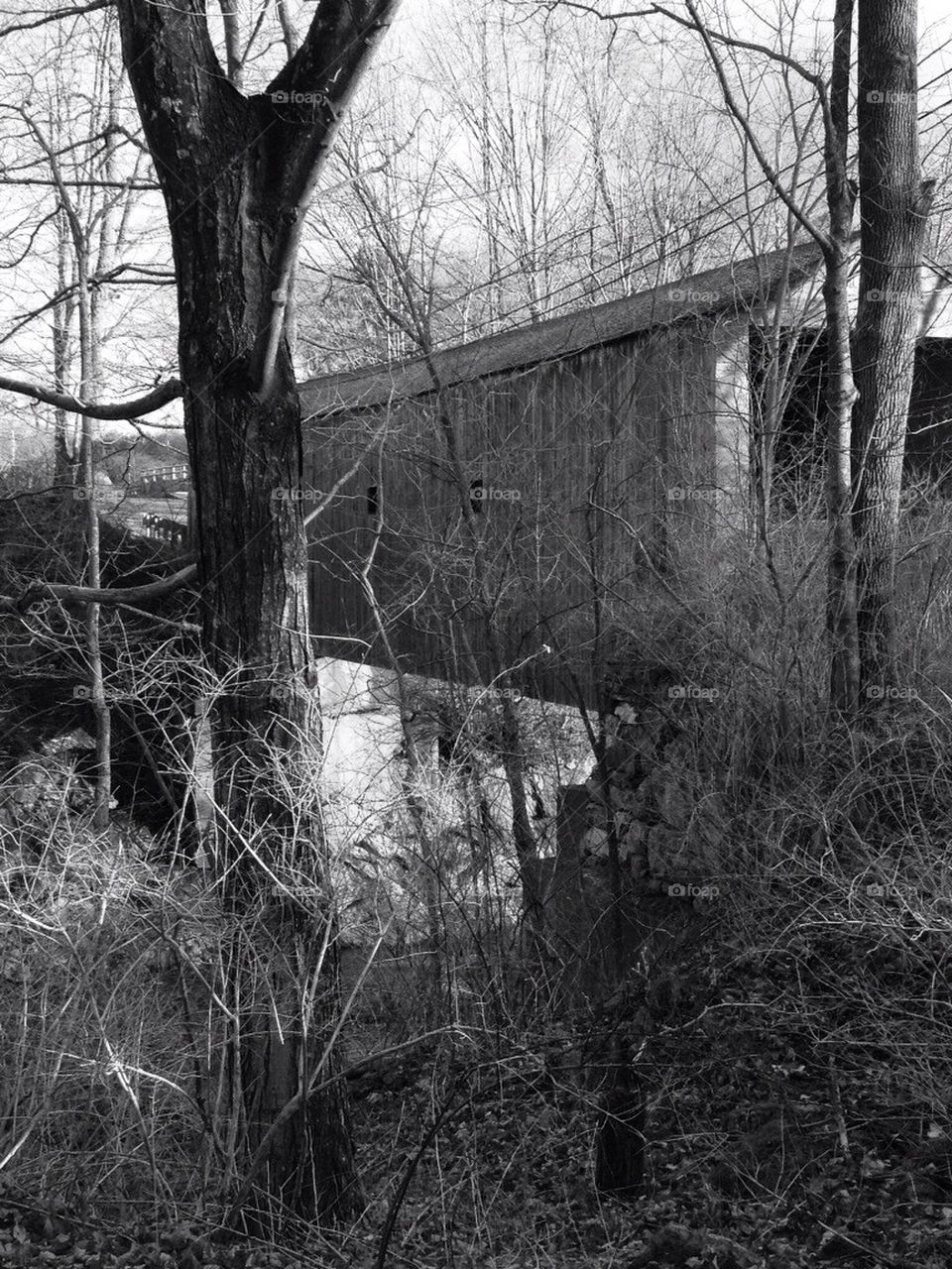 covered bridge