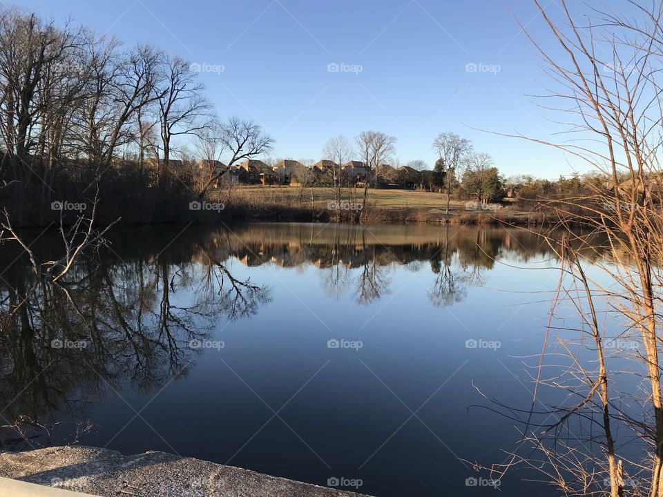 Pond Reflection 