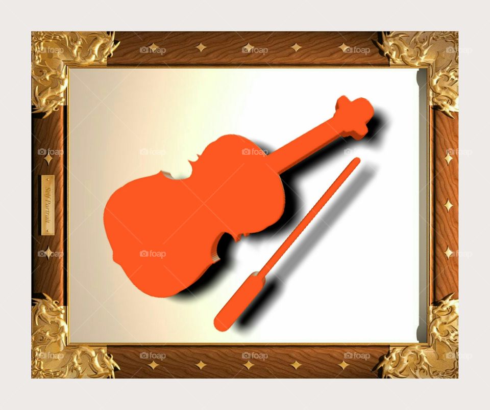 Violin instrument