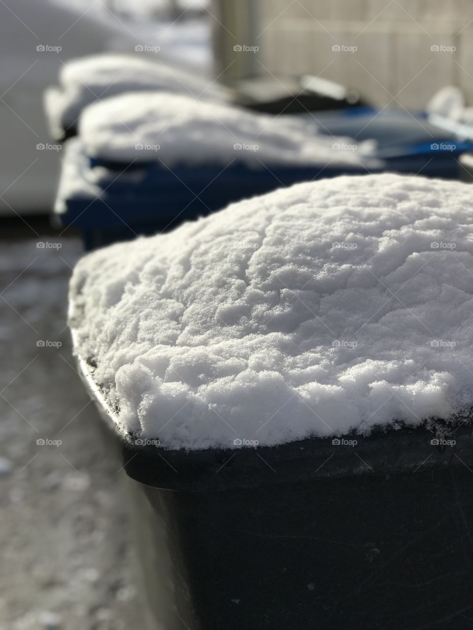 Snow on garbage cans