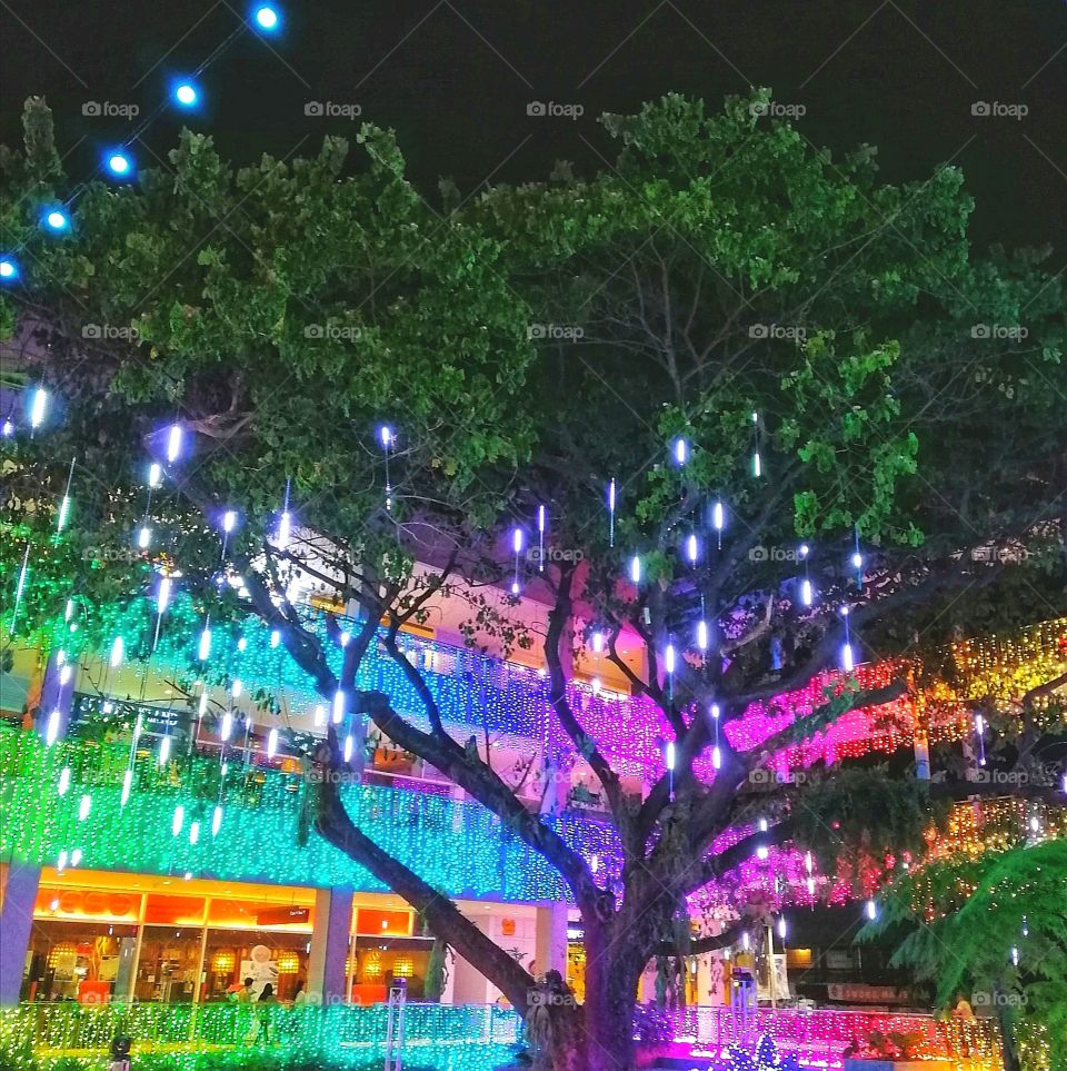 Big tree with colorful lights.