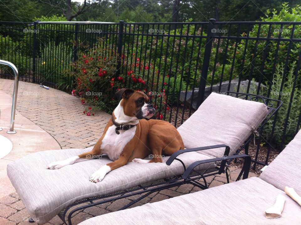 By the pool while you work