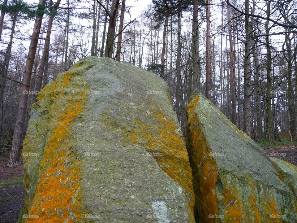 Rocks in the Outwoods