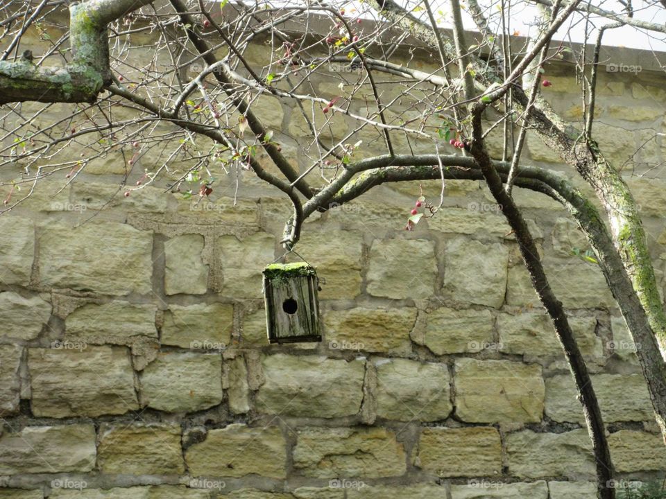 Bird house brick 