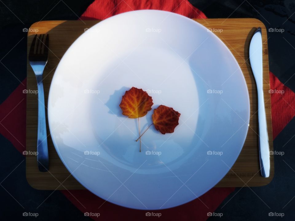 Autumn leaves on the white Plate