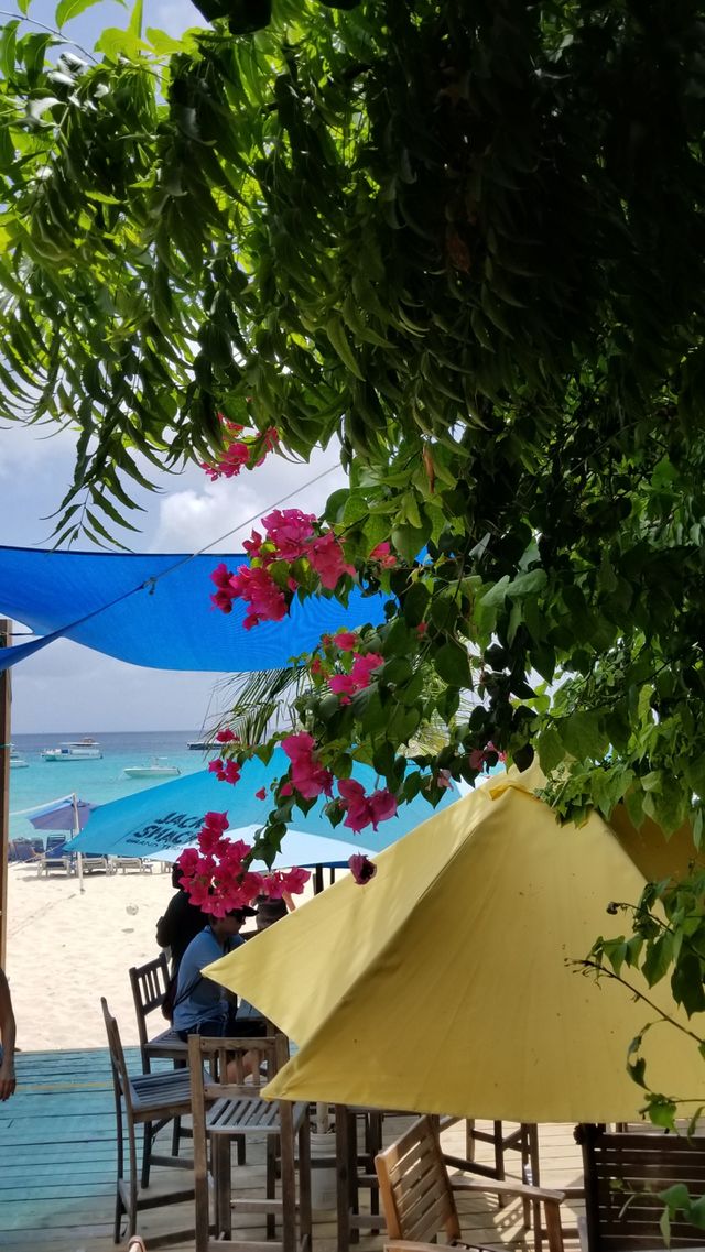 Carribean Beauty