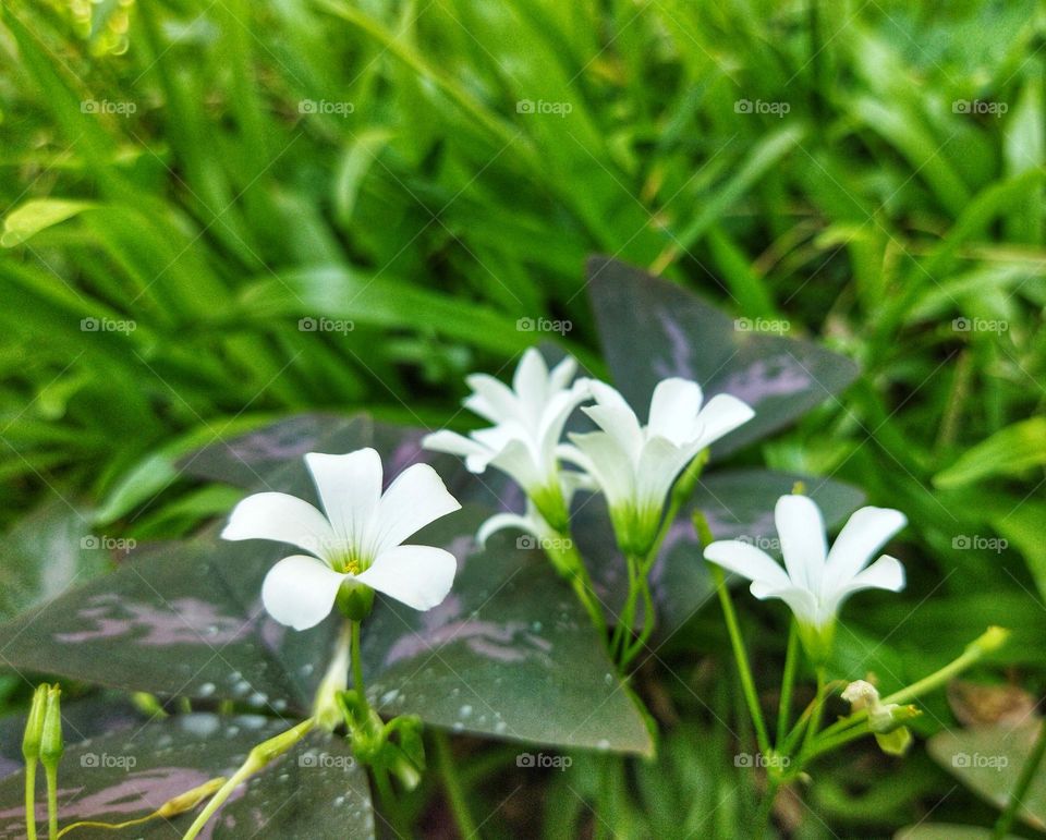 This is spring! 🌱 🌤