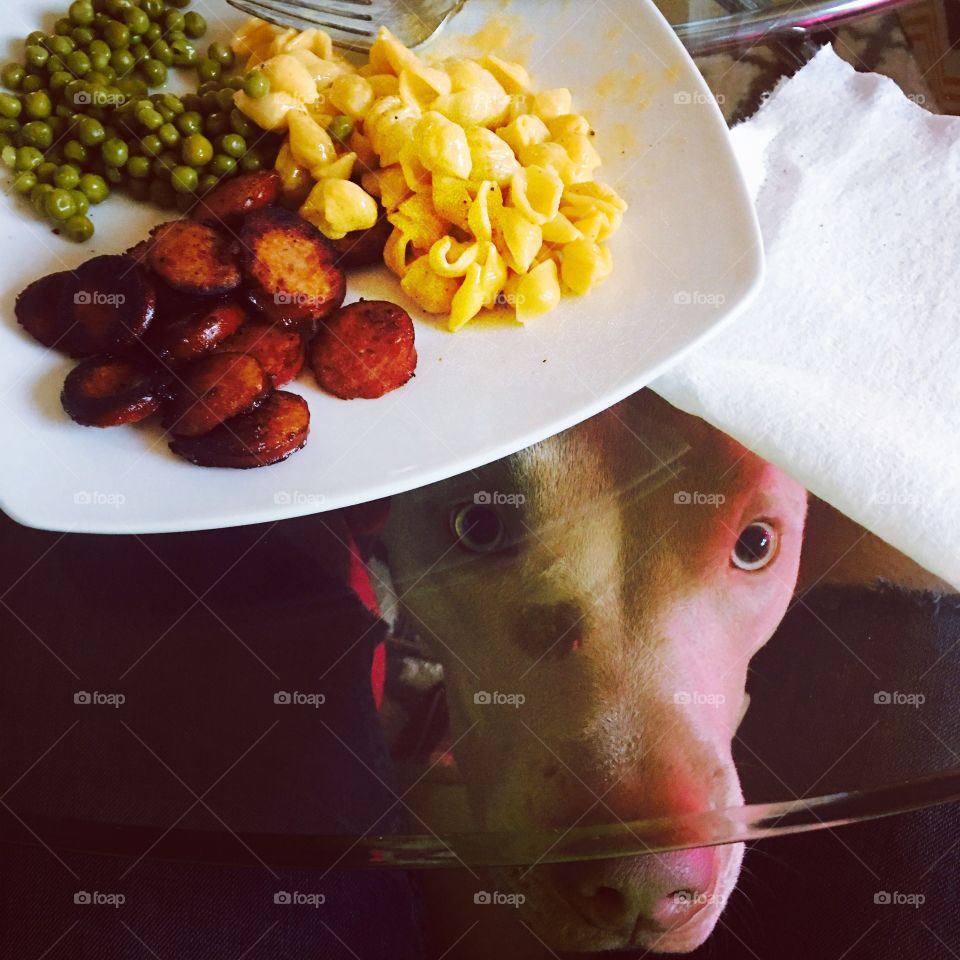 Peek A Boo ... I'm Hungry Too!