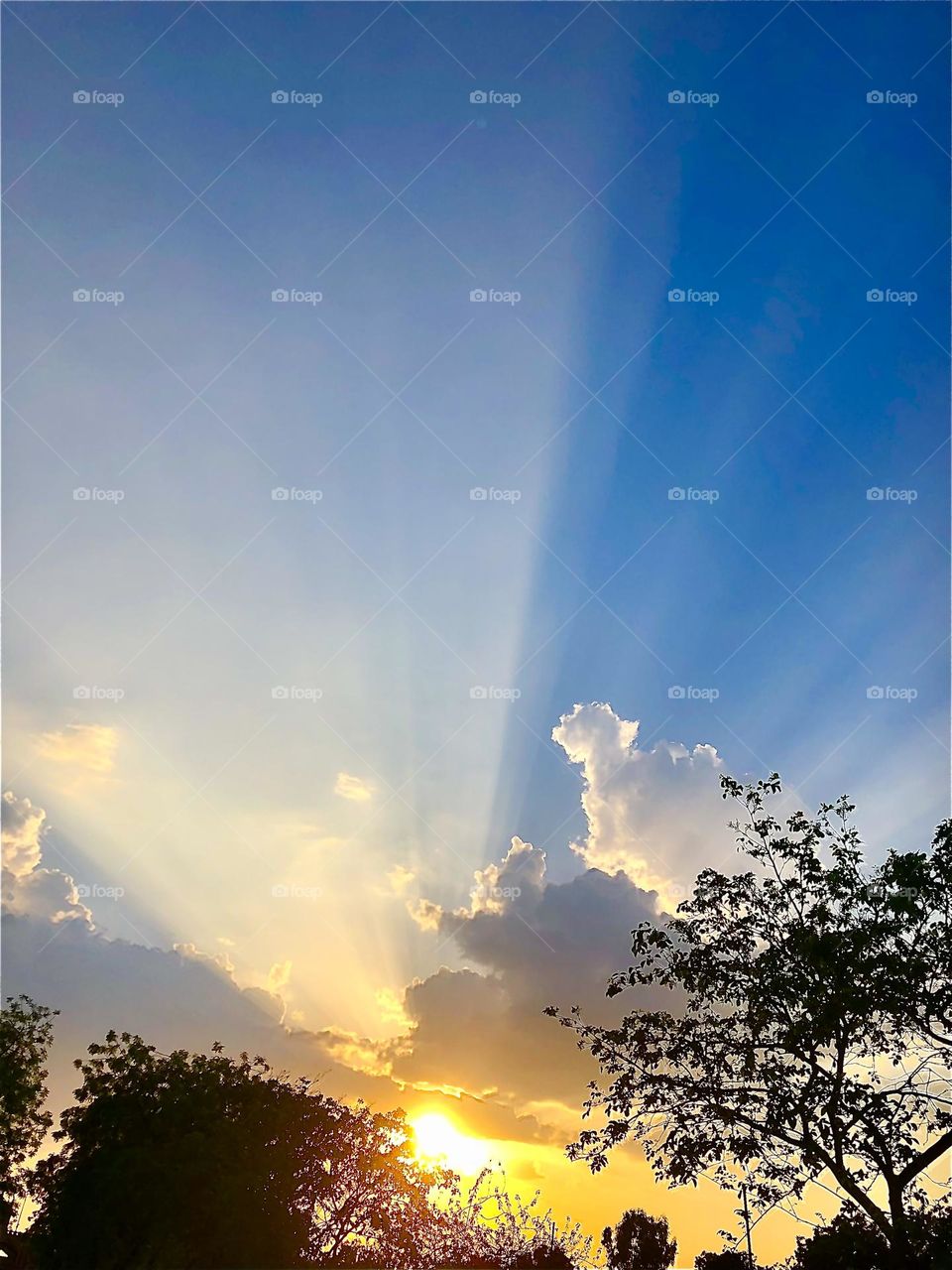 Upload the photo of the month 2024