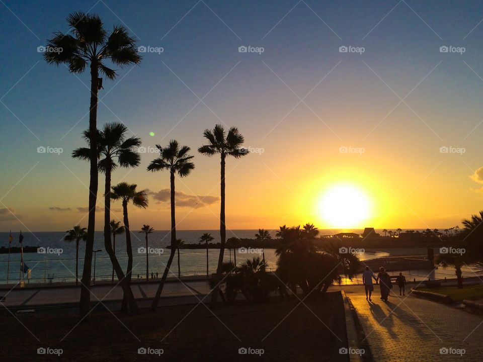 Scenic view of beach