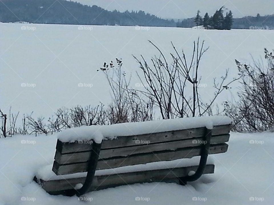 Lonely Bench by the Frozen Beach