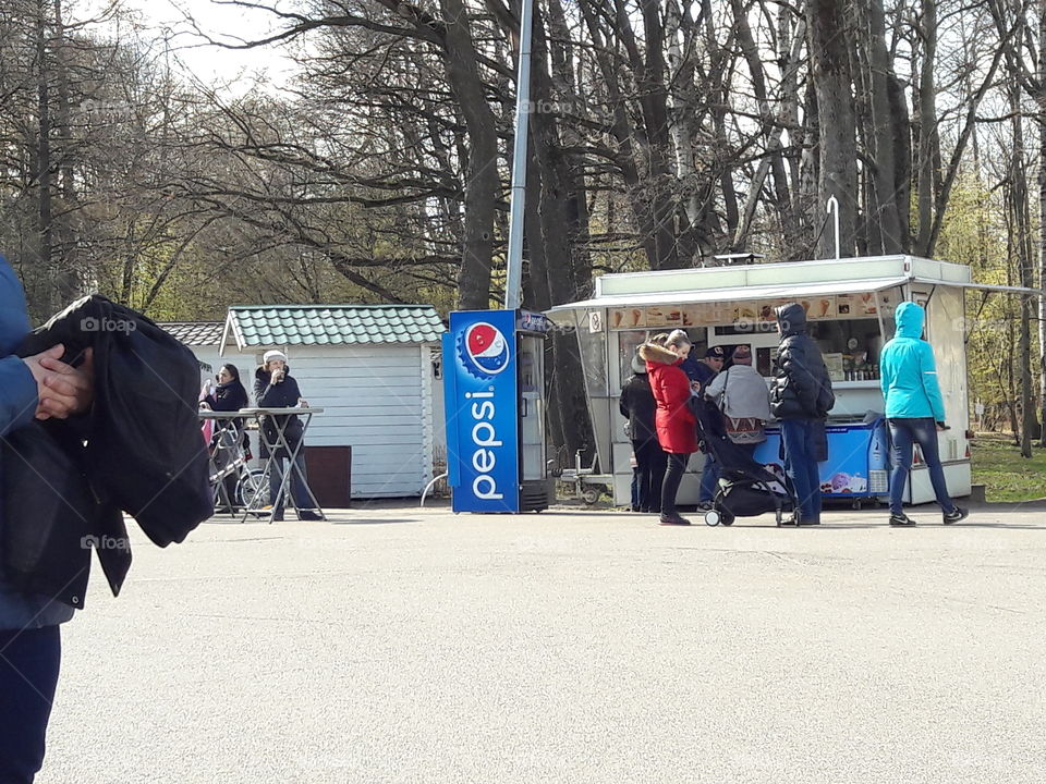 park spring time sun sunny colors colorful nature wild plants flowers amazing stunning cool nice weather hot lovely sky forest grass view splendid
