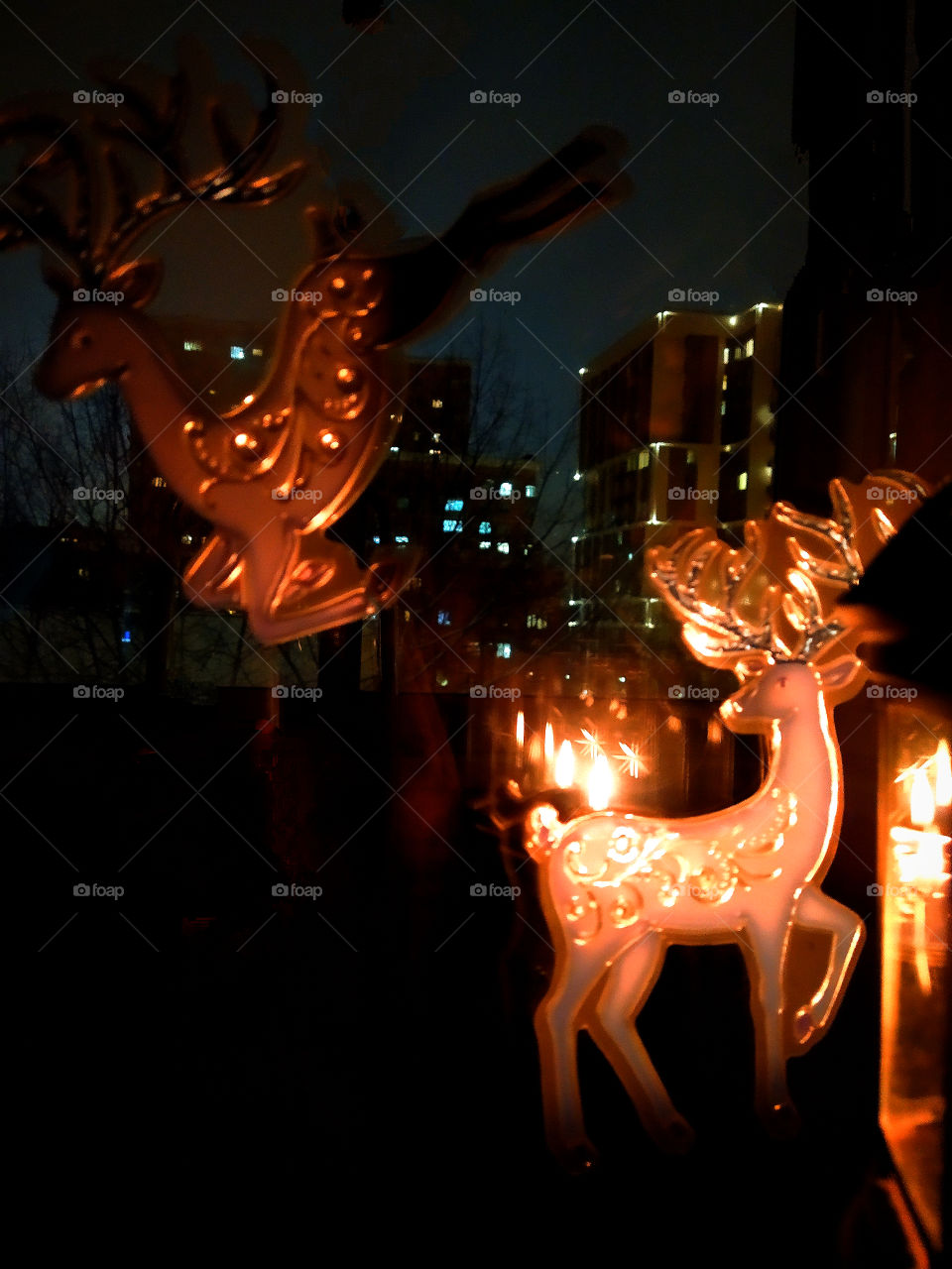 Two fabulous deer by the light of a lantern
