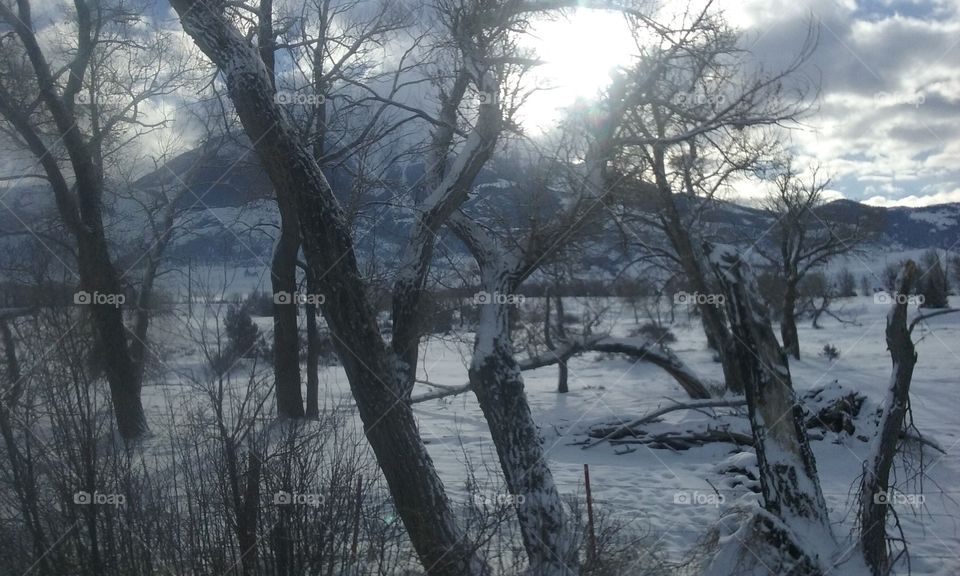 Winters morn in the Mountains a little piece of Serenity.