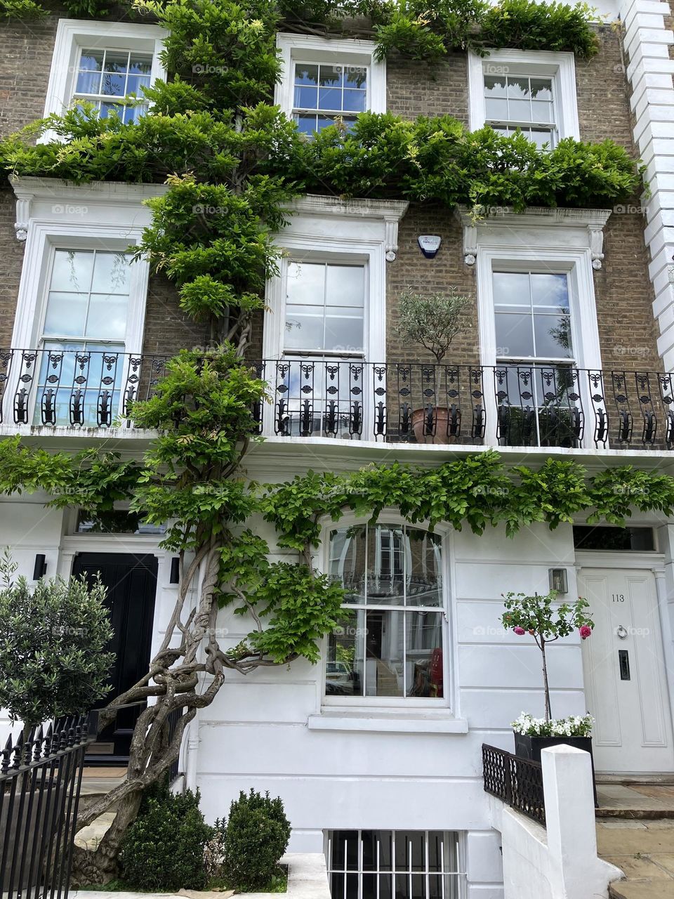 Urban Nature Mission … house in London that caught my eye as being pretty 🇬🇧